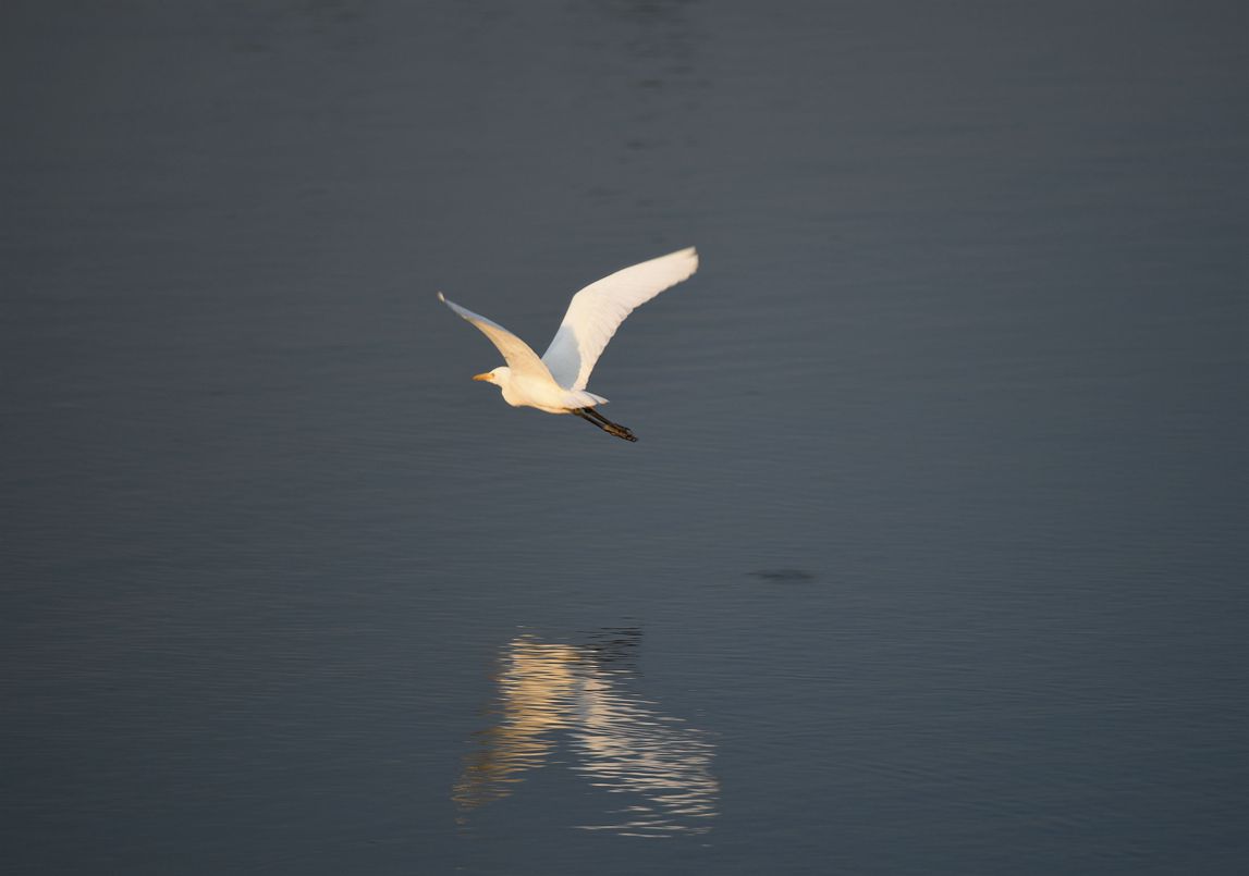 DSC_3677.JPG