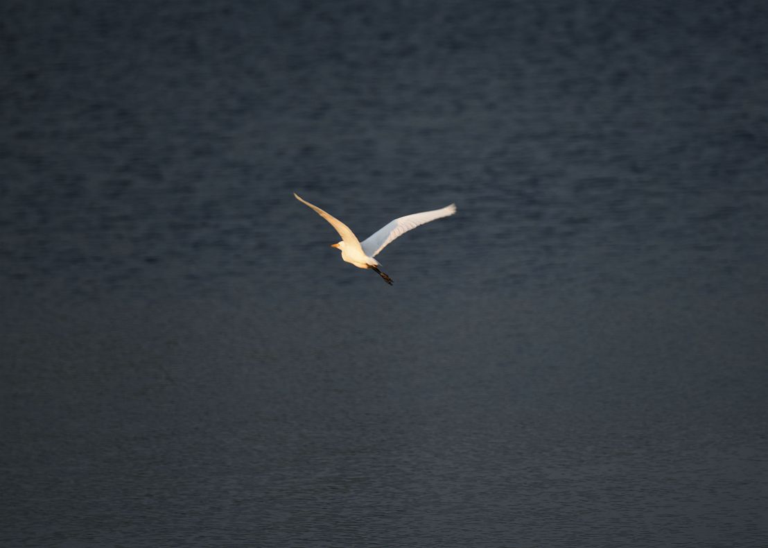 DSC_3679.JPG