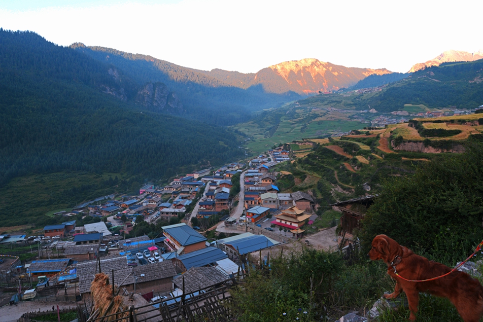 DSC_1980.jpg