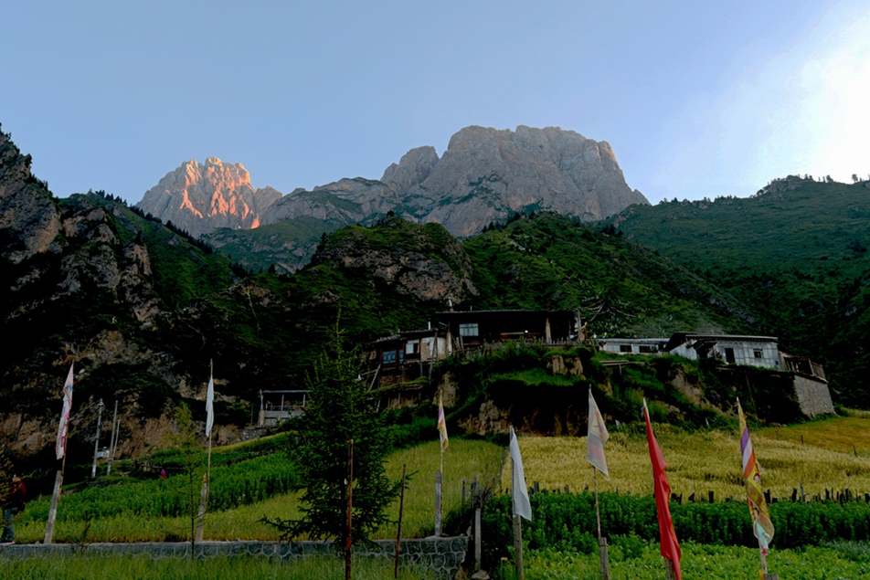 DSC_1984.jpg
