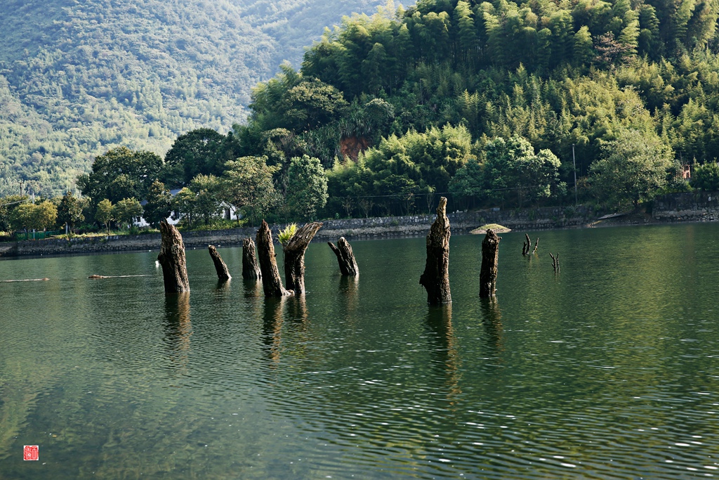 _E4A5832-2_副本.jpg
