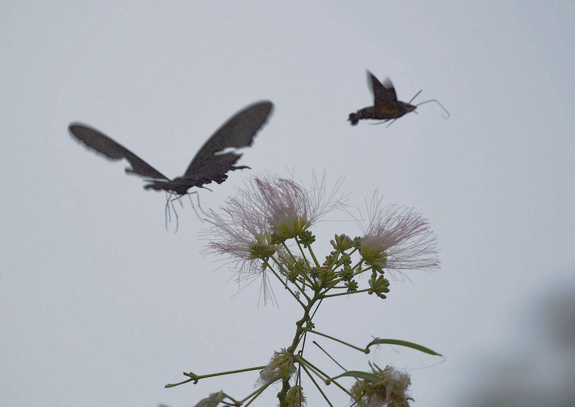 DSC_3879.JPG