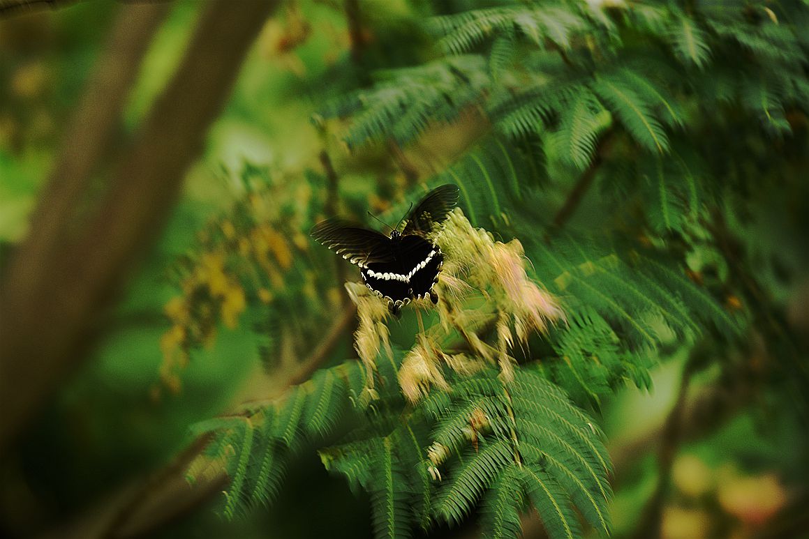 DSC_3948.JPG