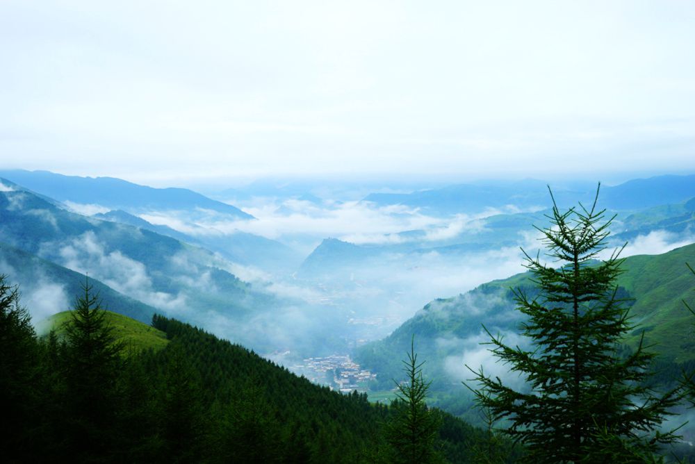 DSC01016_副本.jpg