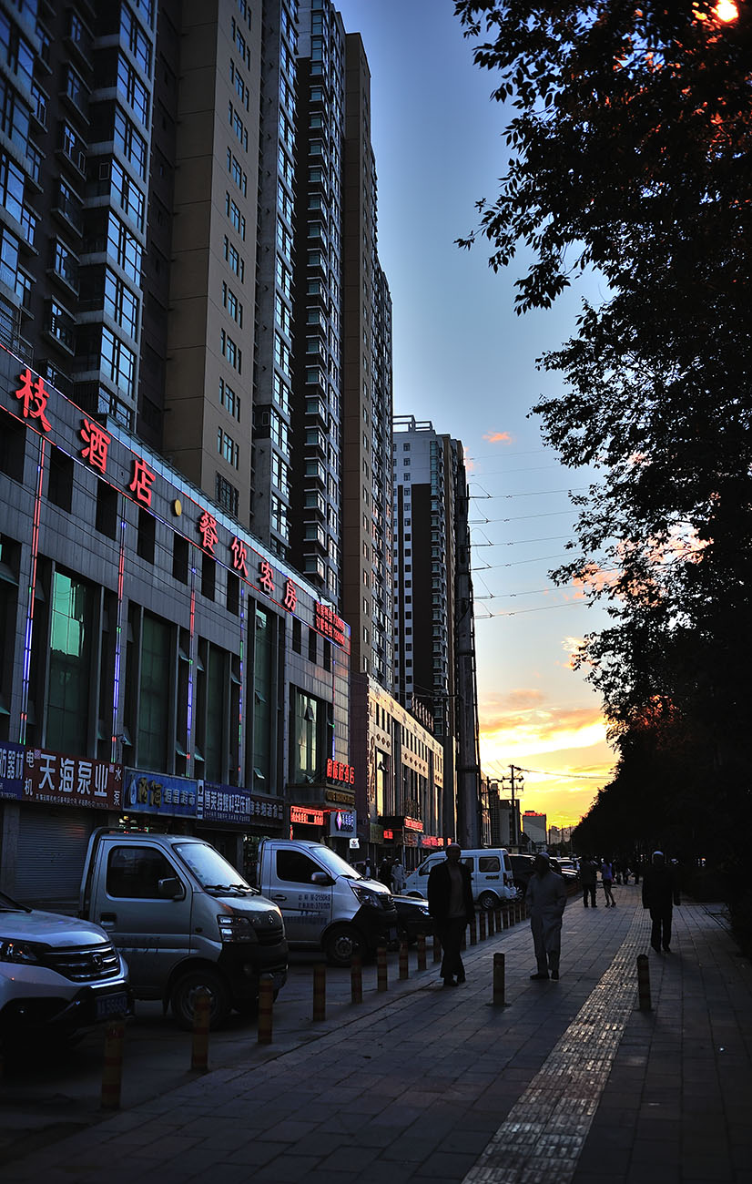 042.jpg