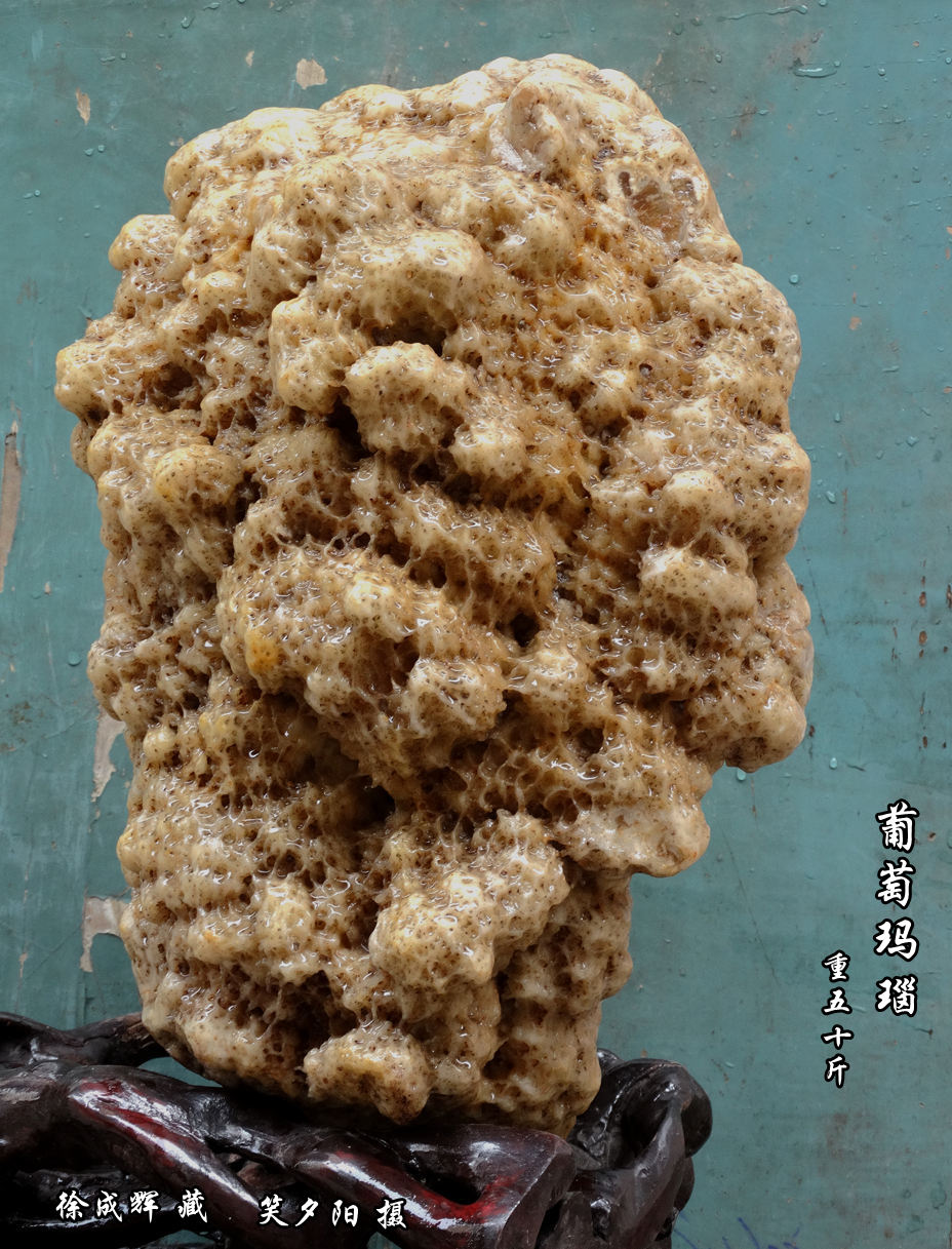 DSC00780_副本.jpg