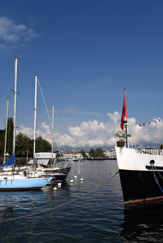 DSC_6080.jpg