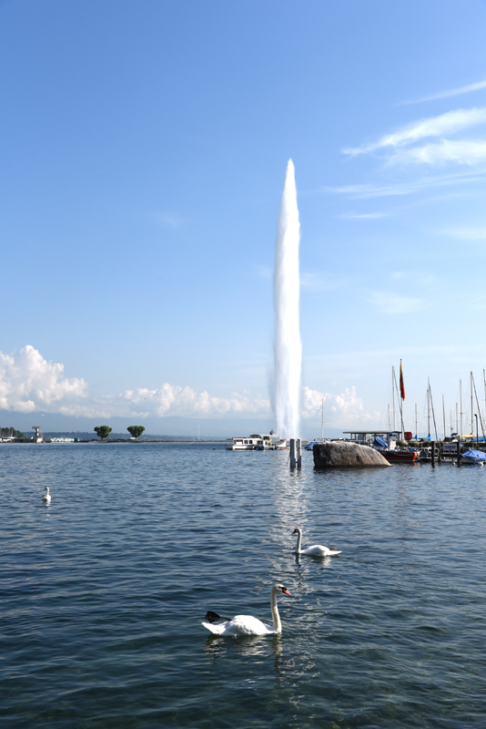 DSC_6081.jpg
