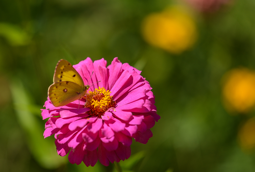 DSC_1565.jpg