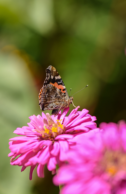 DSC_1573.jpg