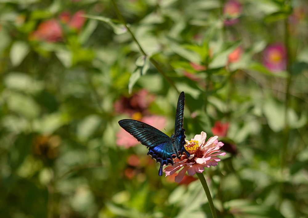 DSC_1589.jpg