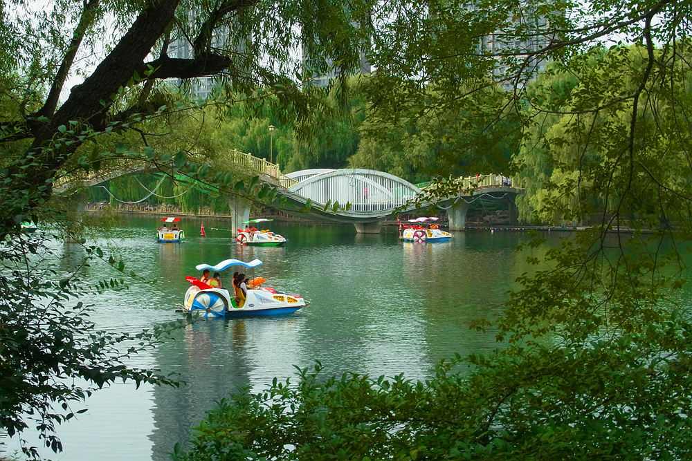 公园美景 (1).jpg