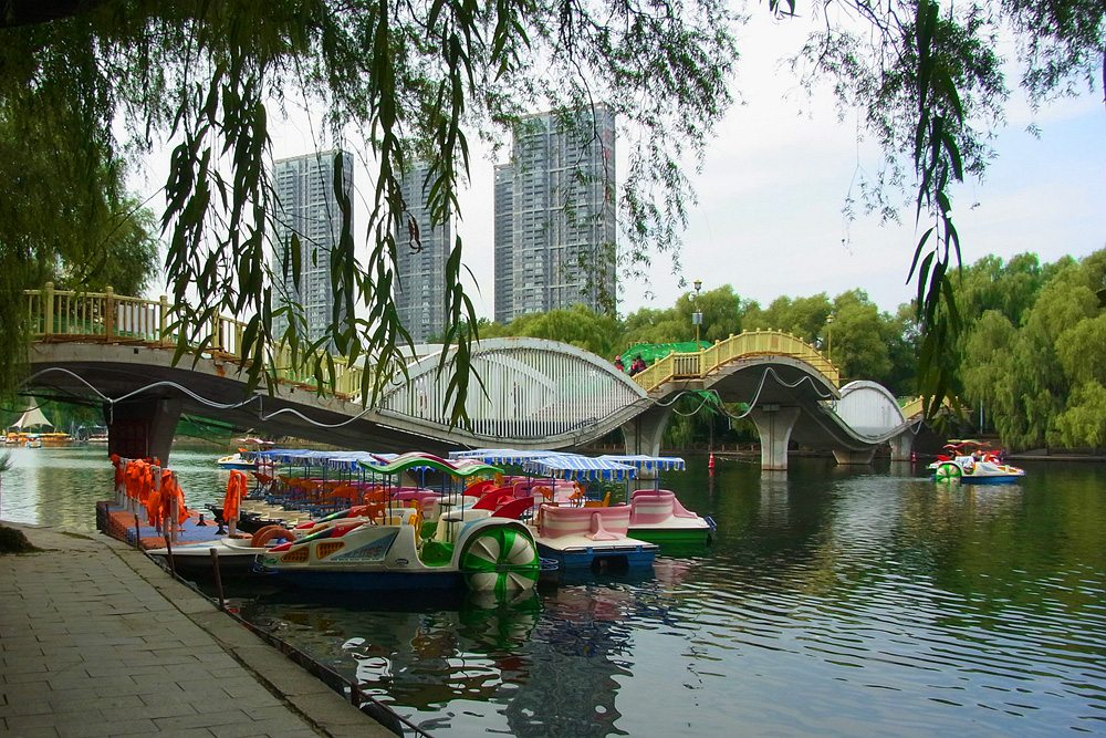 公园美景 (2).jpg