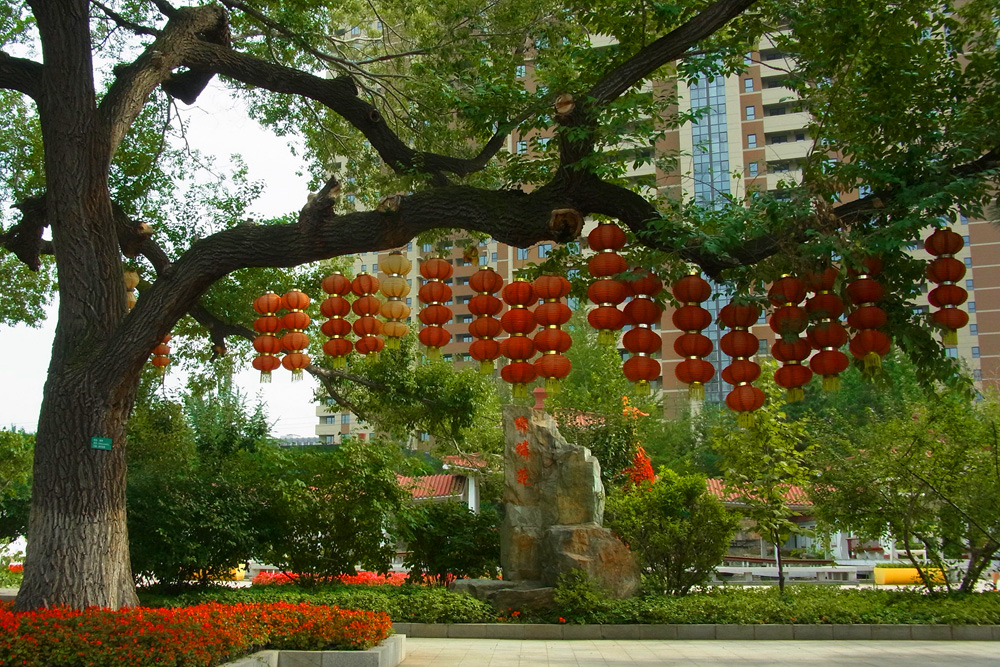 公园美景 (10).jpg