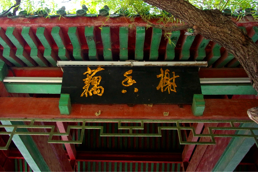 公园美景 (7).jpg