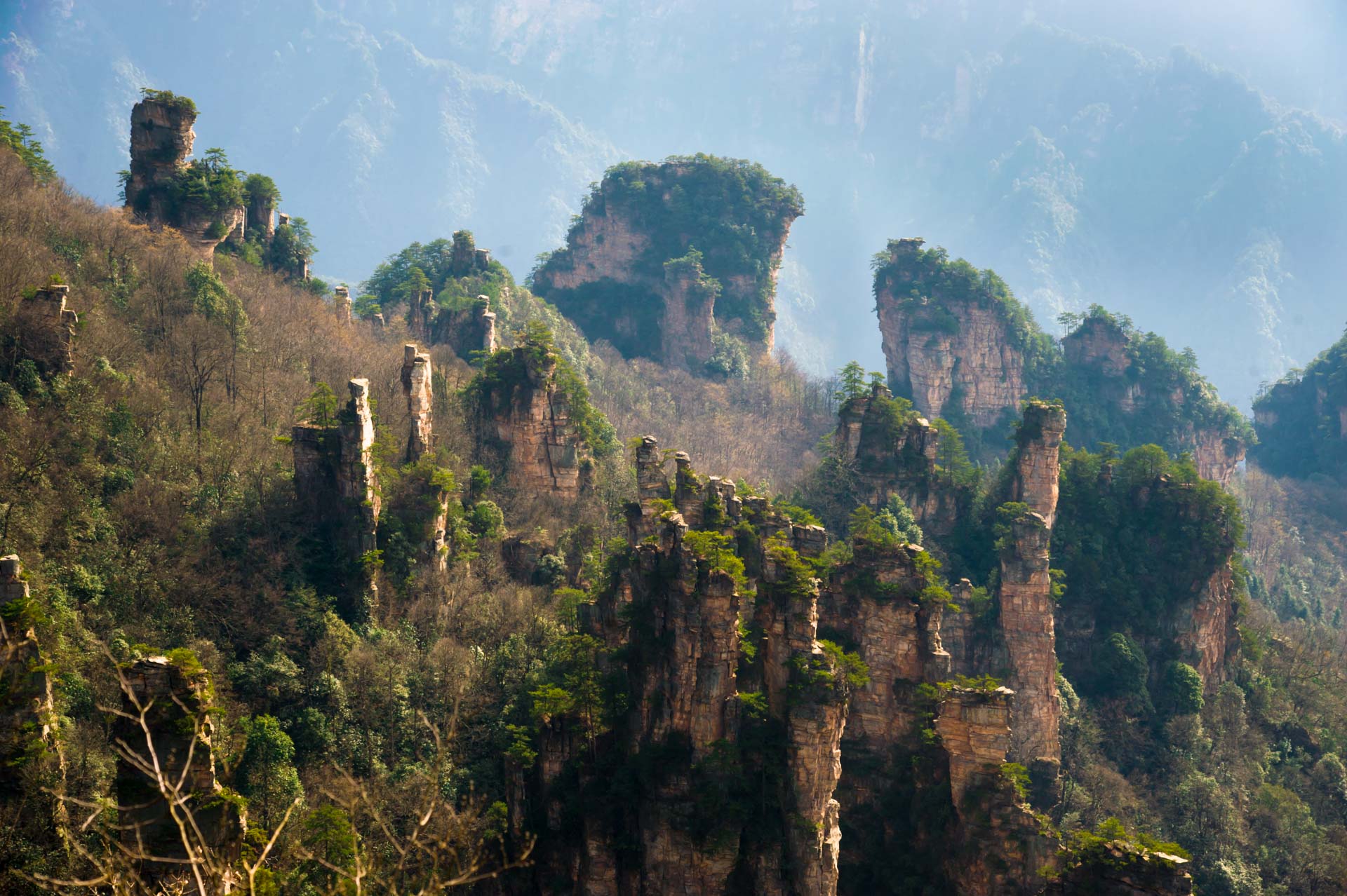 D70_1094.JPG