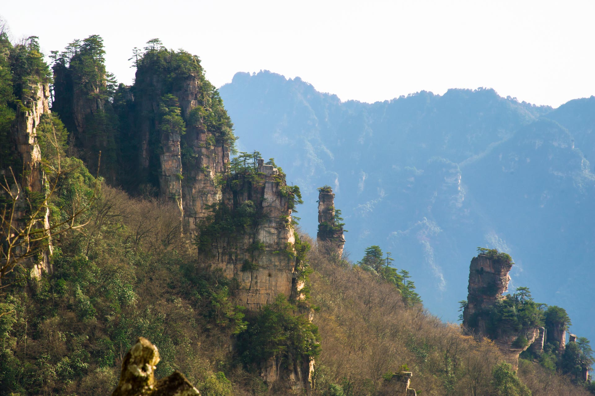 D70_1108.JPG