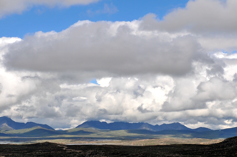 DSC_6384.JPG