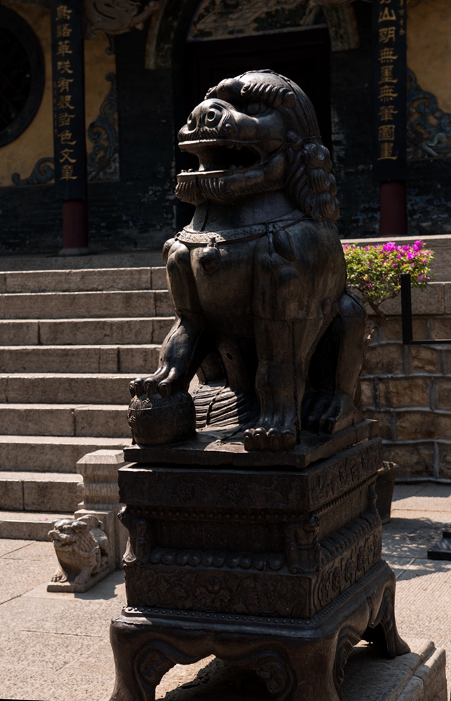 _DSC3665副本.jpg