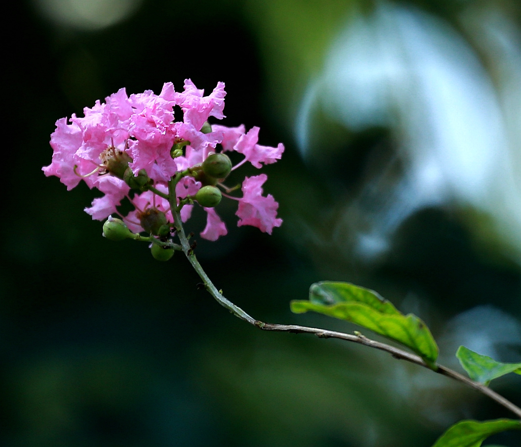 D34A3716_副本.jpg