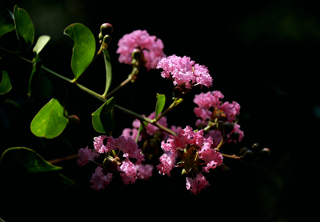 D34A3762_副本.jpg