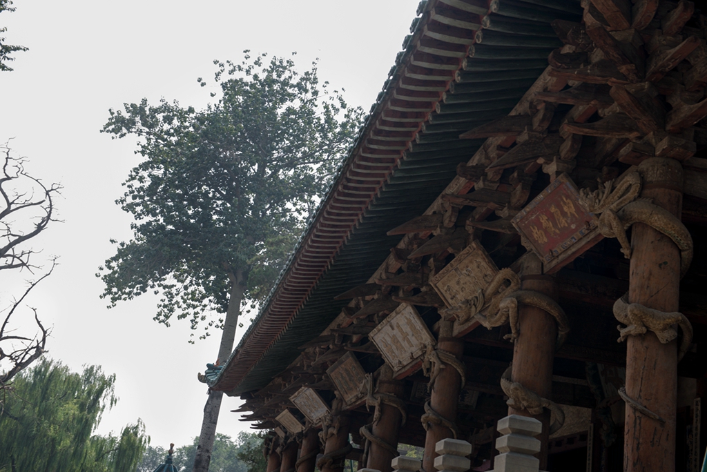 _DSC3673副本.jpg