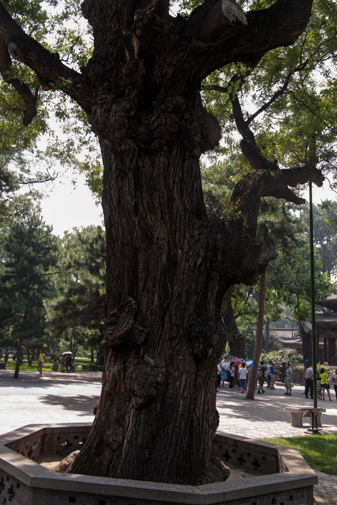 _DSC3662副本.jpg