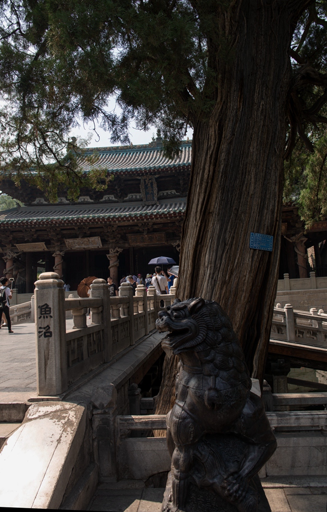 _DSC3670副本.jpg