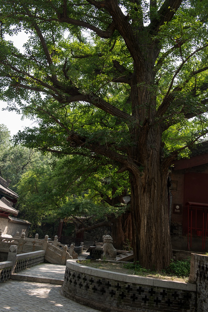 _DSC3679副本.jpg