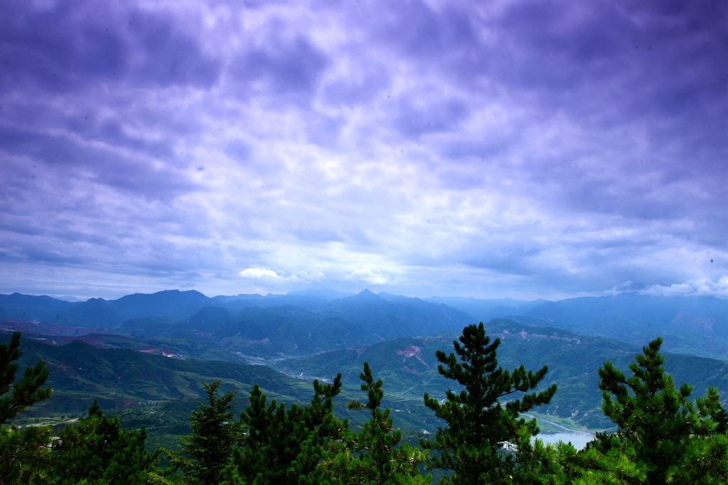 DSC_1554.JPG