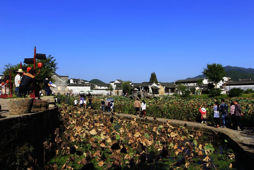 163_conew1.jpg