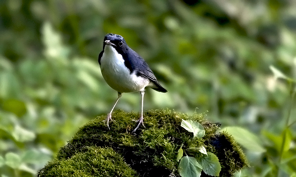 IMGP9720副本副本.jpg