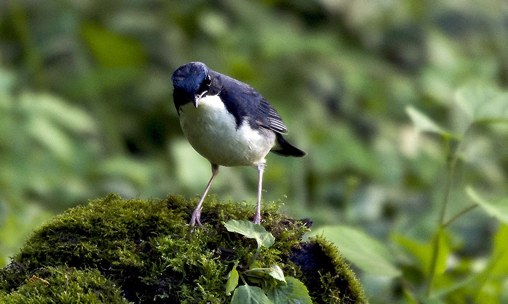 IMGP9751副本副本.jpg