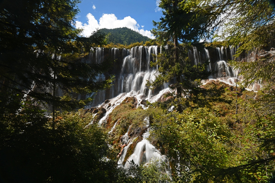 DSC_3289.jpg