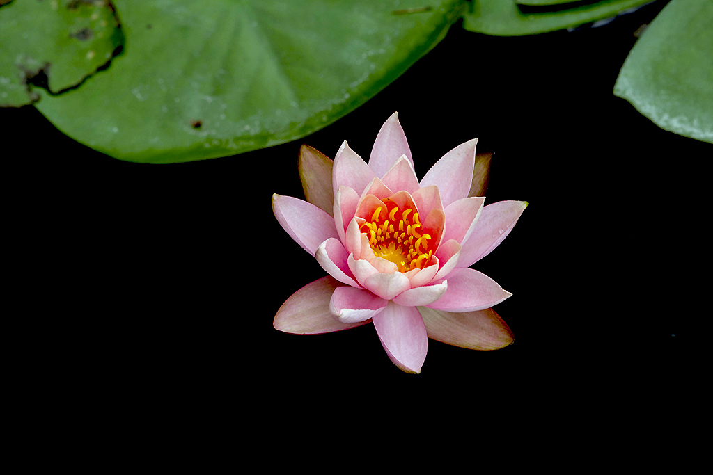IMGP5487副本副本.jpg