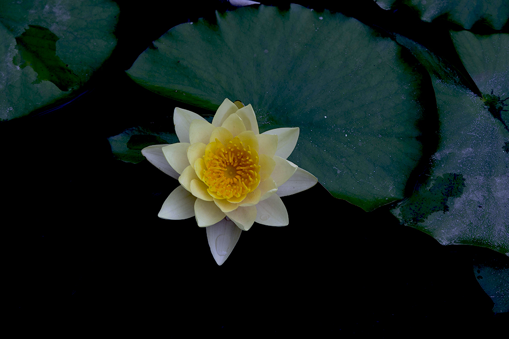 IMGP5481副本.jpg