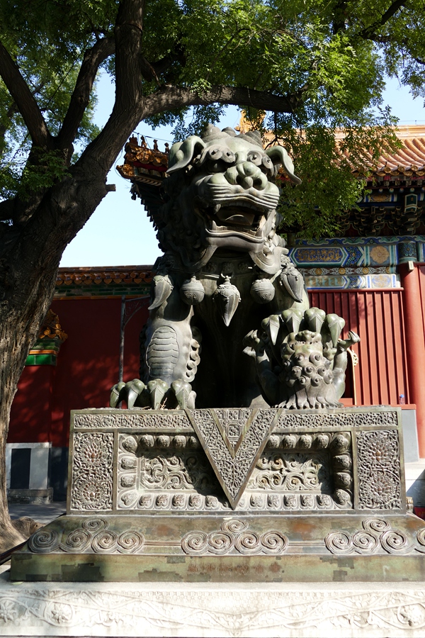 B64.JPG