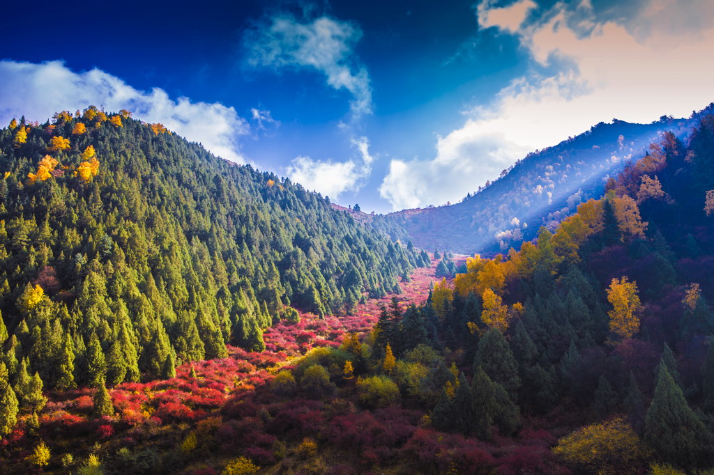 8R5A8371_调整大小.jpg