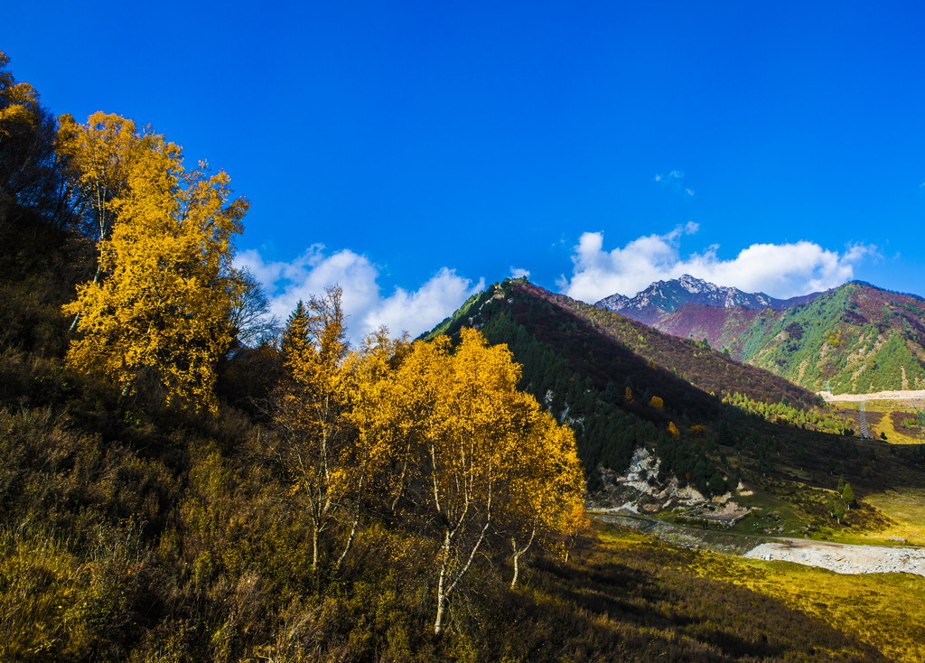 8R5A8355_调整大小.jpg
