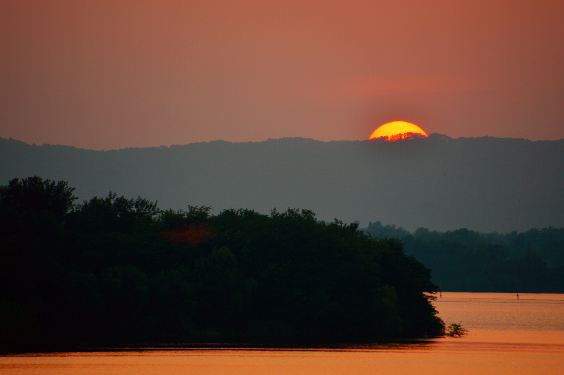 DSC_0478.JPG