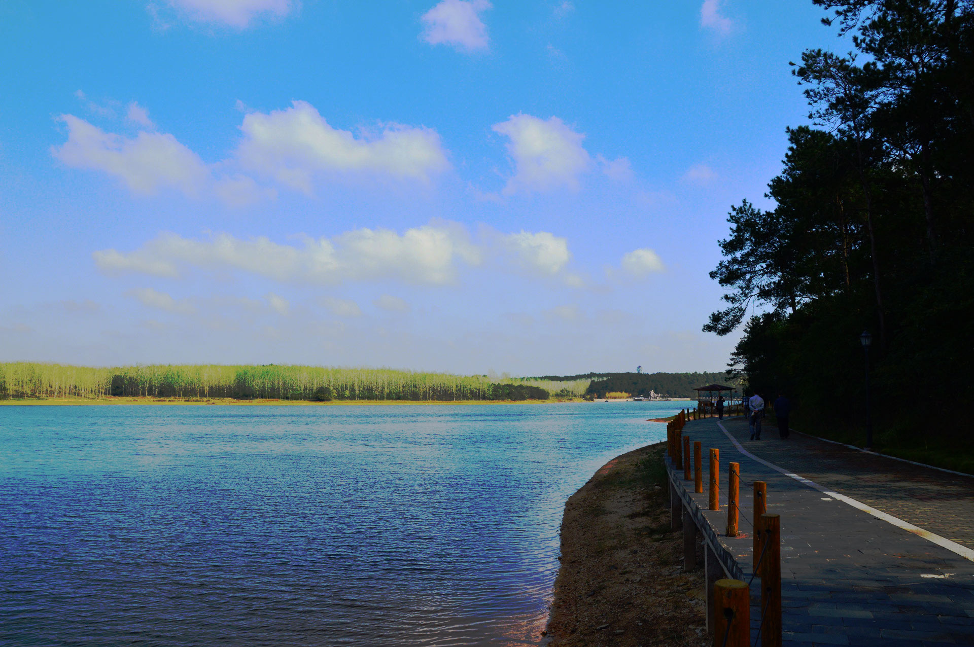 DSC_0048.JPG