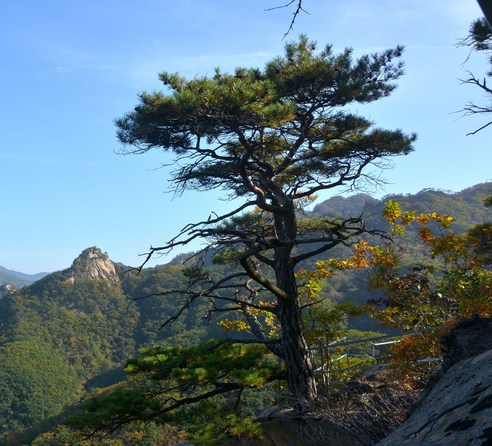 DSC_0078_副本_副本_副本.jpg