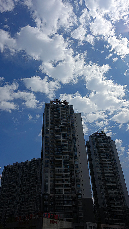 DSC09160_副本.jpg