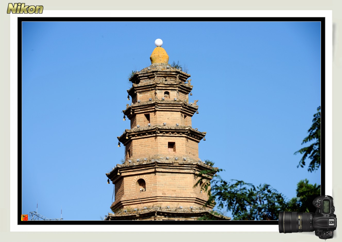 conew_dsc_5896.jpg
