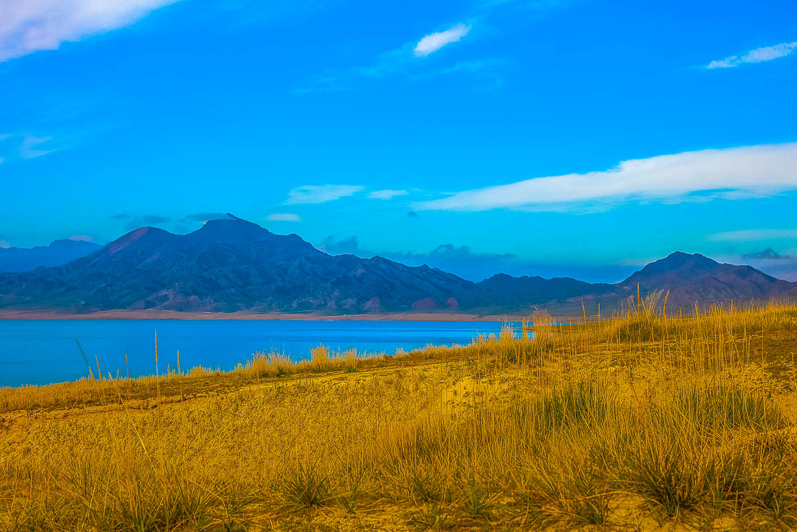 未命名-29.jpg