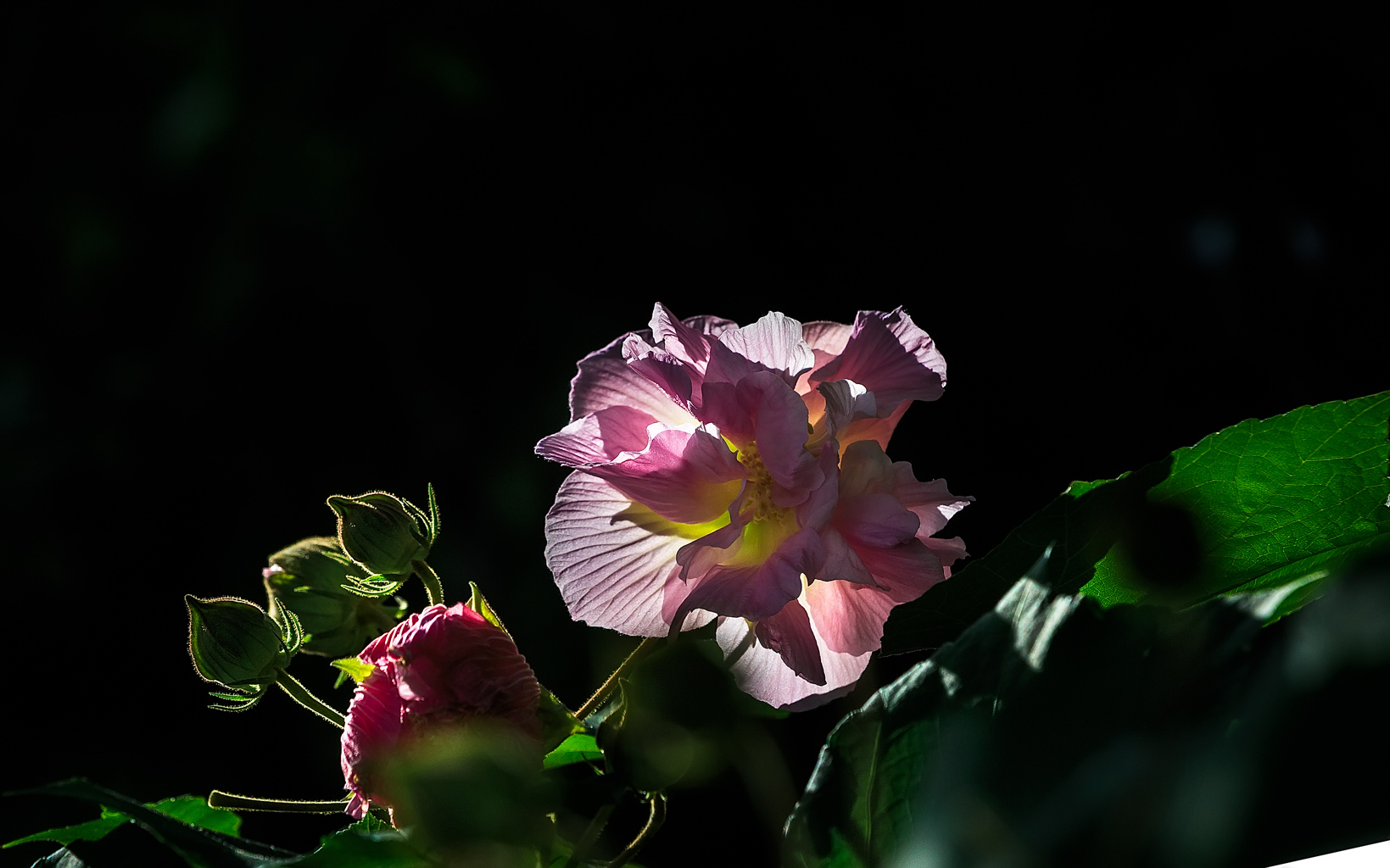 2I9A0255-编辑.jpg