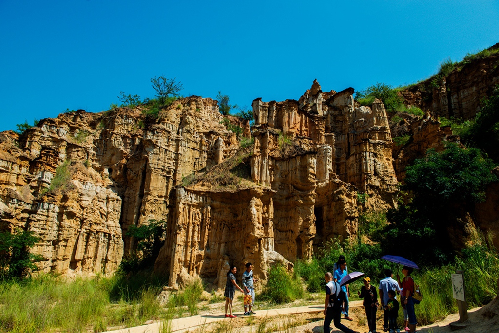 _DSC5410副本.jpg