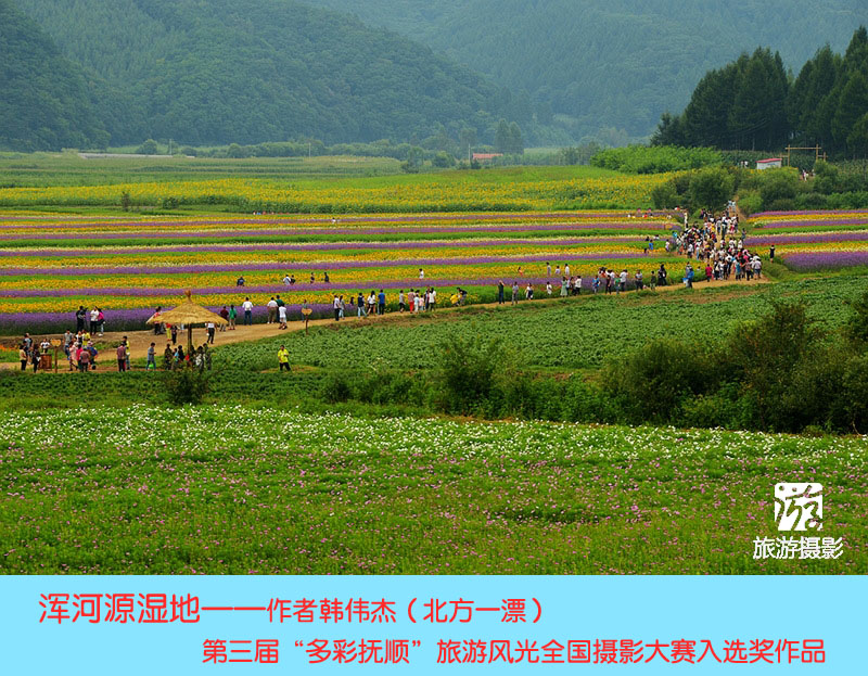 入选奖-19浑河源湿地-北方一漂（韩伟杰）.jpg