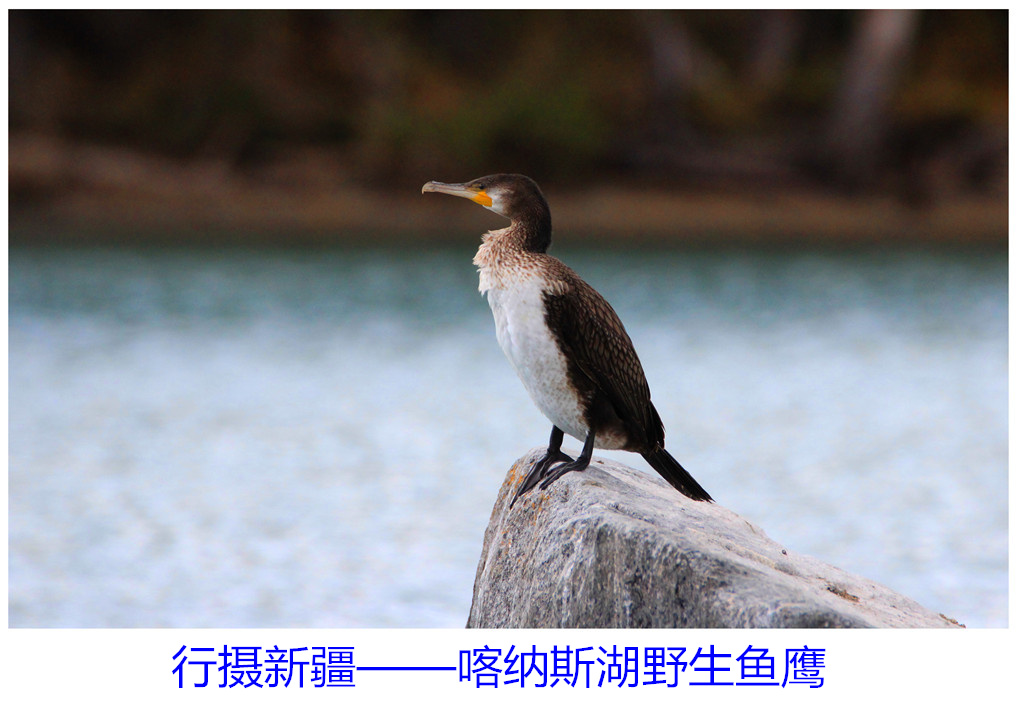 IMG_1489-2-2_副本.jpg