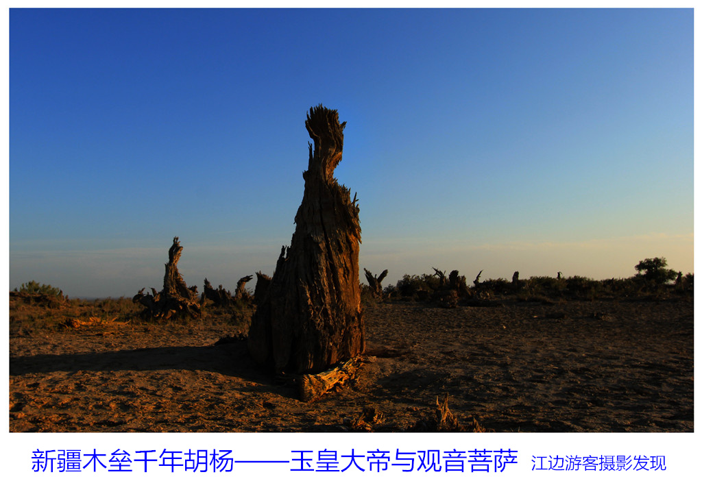 IMG_2049-2-2_副本.jpg